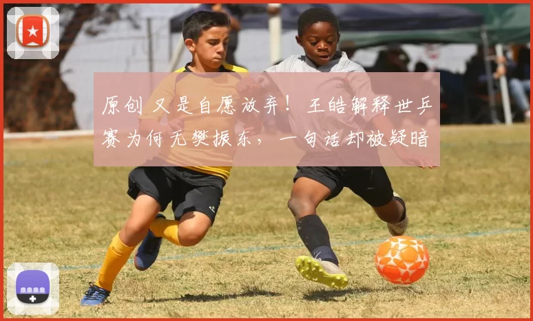 原创 又是自愿放弃！王皓解释世乒赛为何无樊振东，一句话却被疑暗讽，伦敦世乒赛名单引争议