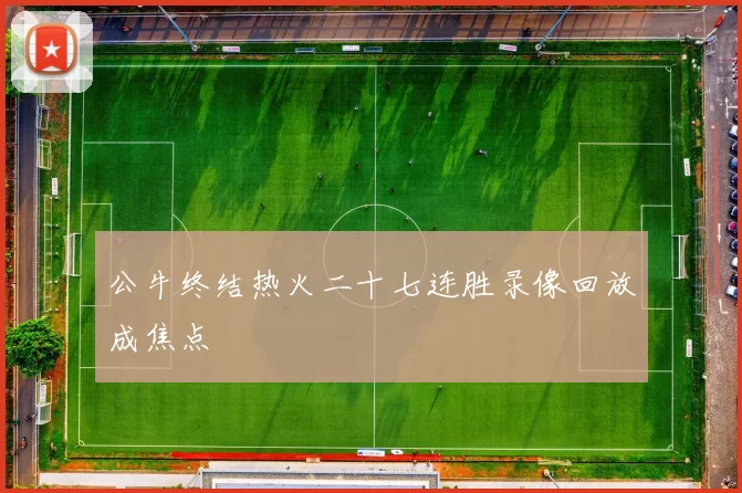 公牛终结热火二十七连胜录像回放成焦点